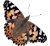 Insectos Mariposario Lore