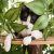 On2pets Árboles Gato Con Hojas, Multi-nivel Moderno Torres D