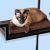 The Refined Feline Condominio Metropolitan Para Gatos, Muebl