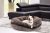 Bessie And Barnie Signature – Cama Para Mascotas Y Perros De