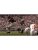 Ncaa Football 11 – Playstation 3