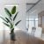 Blissur Macetas De 3.9 In Para Plantas Al Aire Libre Con Dre