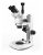 Visión Científica Triocular Zoom Microscopio Estéreo, 10x Oc