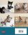 Adorable Animals Felted: 30 Fácil Y Increíblemente Realista