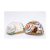 Cangrejo Ermitaño Inicio Turbo Shell | 2pcs Sarmaticus Afric