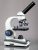 Amscope M150c-ps25 Compuesto Microscopio Monocular, Wf10x Y