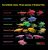 El Glofish Fish Tank Kit, Incluye Led De Iluminación Y La De