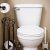 Danco 80806 Metal Wc Tanque Palanca, Cromo