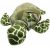 14  Relleno Tortuga Animales | Juguete De Felpa Blanda Tortu