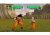 Dragon Ball Z Budokai Hd Collection – Xbox 360