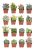 Comprar Suculentas | Colección Única | Surtido De Plantas Su