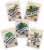 Microgreens Semillas Kit – 100% Para No Gmo – Brócoli, Rában
