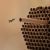 Uratot 60 Piezas Mason Bee Tubos De Cartón De Abeja De 6 Pul