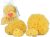 Las Esponjas De Mar Real Para Bebés – 4 Pk Set De Baño Del C