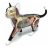 4d Vision Cat Anatomía Modelo