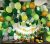 2019 Prima Jungle Safari Temáticas Decoración De Fiesta Set