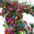 100pcs Mezcla Color Escalada Rosa Semillas Flor Jardín Escal