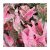 Bombilla De Caladio De Belleza Rosa Una Bombilla De Tamaño