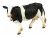 Vaca Safari Safari Ltd Granja Holstein