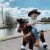 Ponycycle Oficial Classic U Series Ride On Horse Toy Plush W