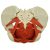Modelo Pelvis