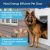 Petsafe Extreme Perro Del Tiempo Y De La Puerta Del Gato – P