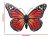 Arte De Pared De Mariposa De Metal Grande Para Decoración Al