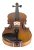 Violín Acústico Cecilio 4/4 Cvn-500 Música + Accesorios Hm4