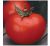 Davids Garden Seeds Sl9988 – Semillas Híbridas Para Tomate