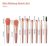 Juego De Brochas De Maquillaje Doyizz 8 Piezas Mini Kit De B