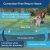 Petsafe Stay & Play Valla Inalámbrico Compacto Para Perros Y