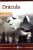 Dracula / libro Bram Stoker Nuevo Talento