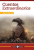 Cuentos extraordinarios / libro Edgar Allan Poe Nuevo Talento Epoca