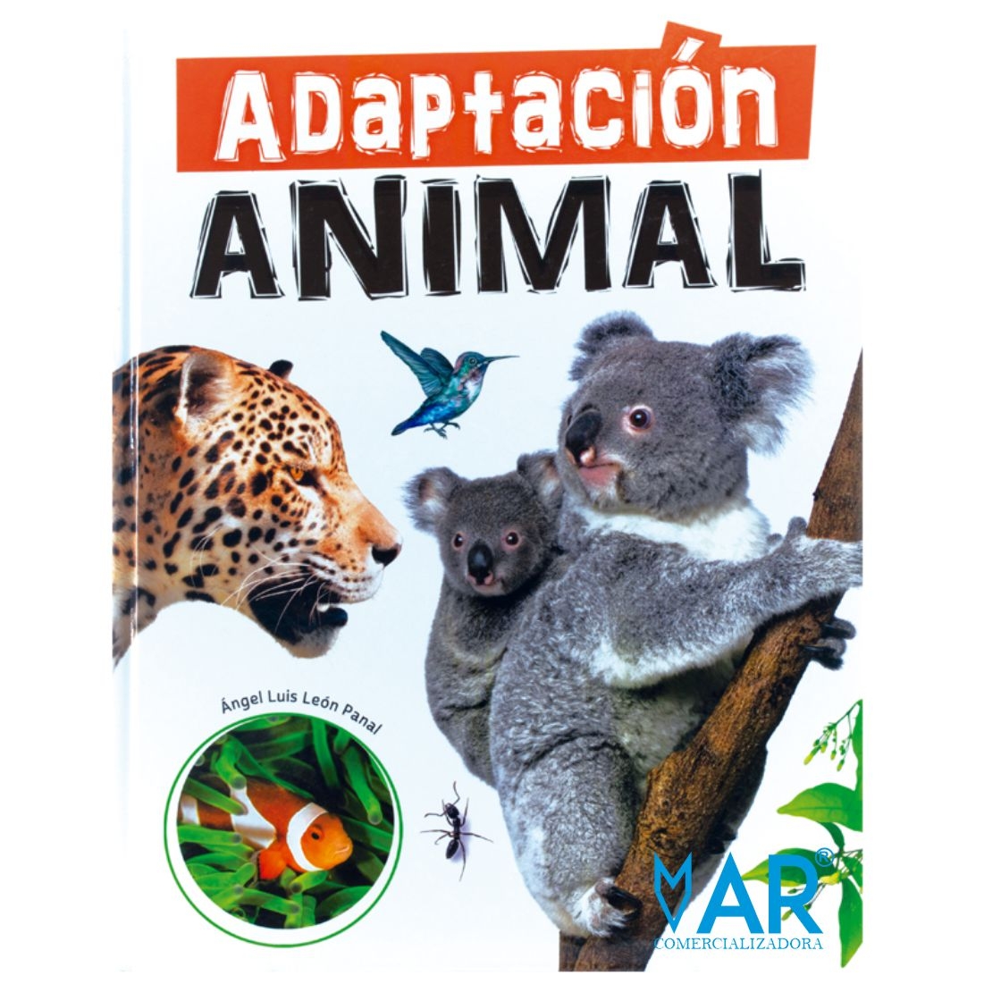 Adaptación Animal, Megafauna, Maravillas de la Naturaleza, 5 – 10 años